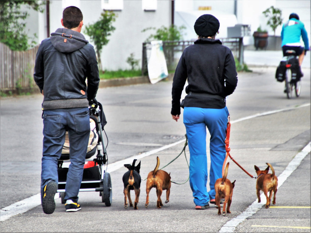 Stroller Street Safety in the USA: A Quick 'Top 10 Tips' Guide